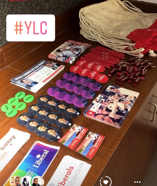 ucalgaryliberal's tweet photo. Thanks to everyone for coming out to our Meet n’ Greet! 🍁  #ucalgaryliberals #YLC #UofC #YLCA https://t.co/YwA66sLOzu