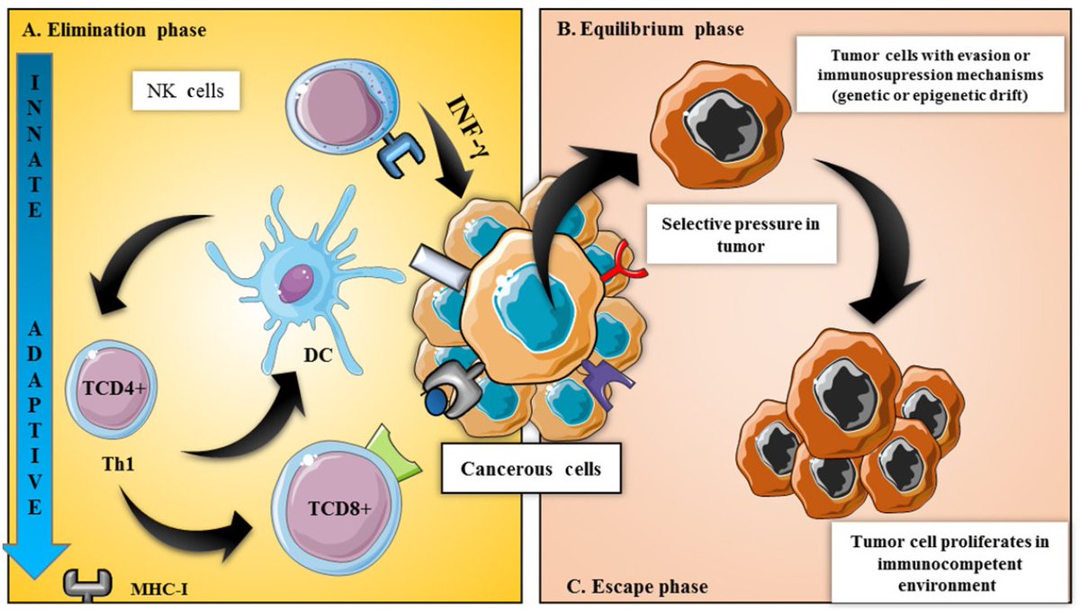 download pediatric cns