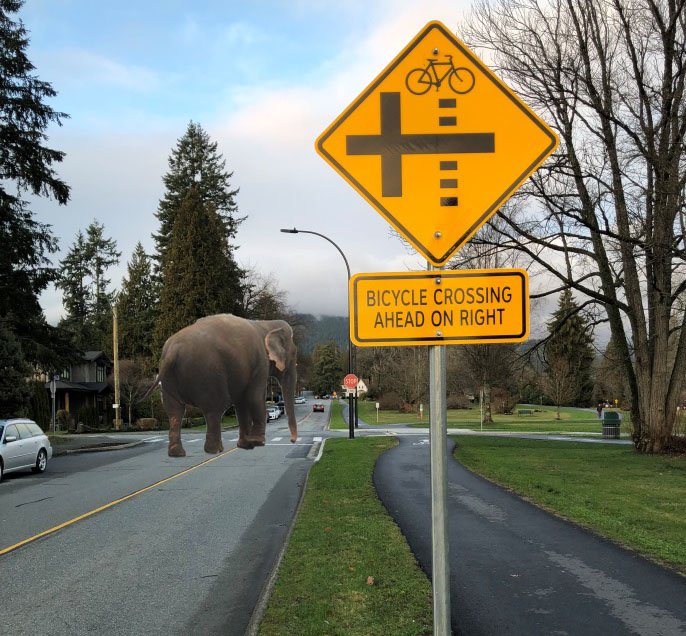 Hey #NorthVan, we've got some elephant's feet in the City, big ones. Learn more at cnv.org/ElephantsFeet https://t.co/zP3gdddI3A