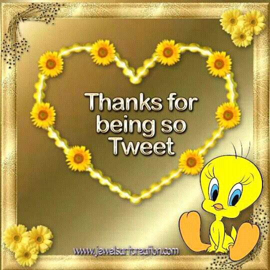 Sandy Stewart tweet media