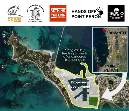 SeagrassLiz's tweet photo. This development will see further loss of #Posidonia meadows in #CockburnSound reducing habitat for #fisheries and food supply for #LittlePenguins https://t.co/OvbdJpqyly @ConservationWA @Rita_Saffioti https://t.co/qqmLqf5rK2