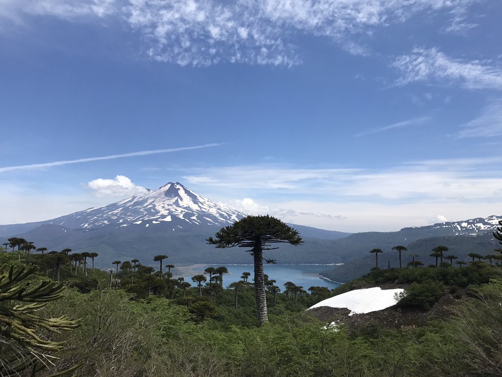 Mario Hassi tweet media