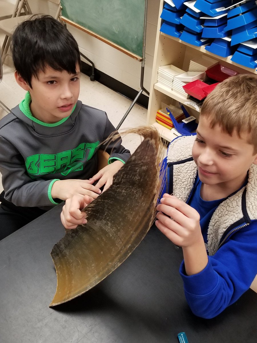 MissB105's tweet photo. So much fun, and maybe a little creepy, meeting some aquatic friends from the Virginia Aquarium today! #slimy #goalsarehigh_GBI https://t.co/UTFjiYtZ9i