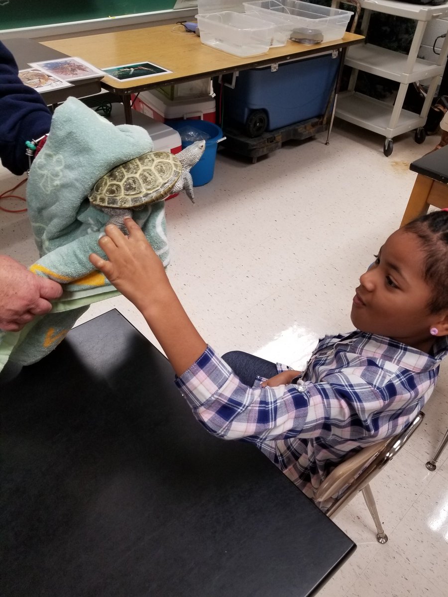 MissB105's tweet photo. So much fun, and maybe a little creepy, meeting some aquatic friends from the Virginia Aquarium today! #slimy #goalsarehigh_GBI https://t.co/UTFjiYtZ9i