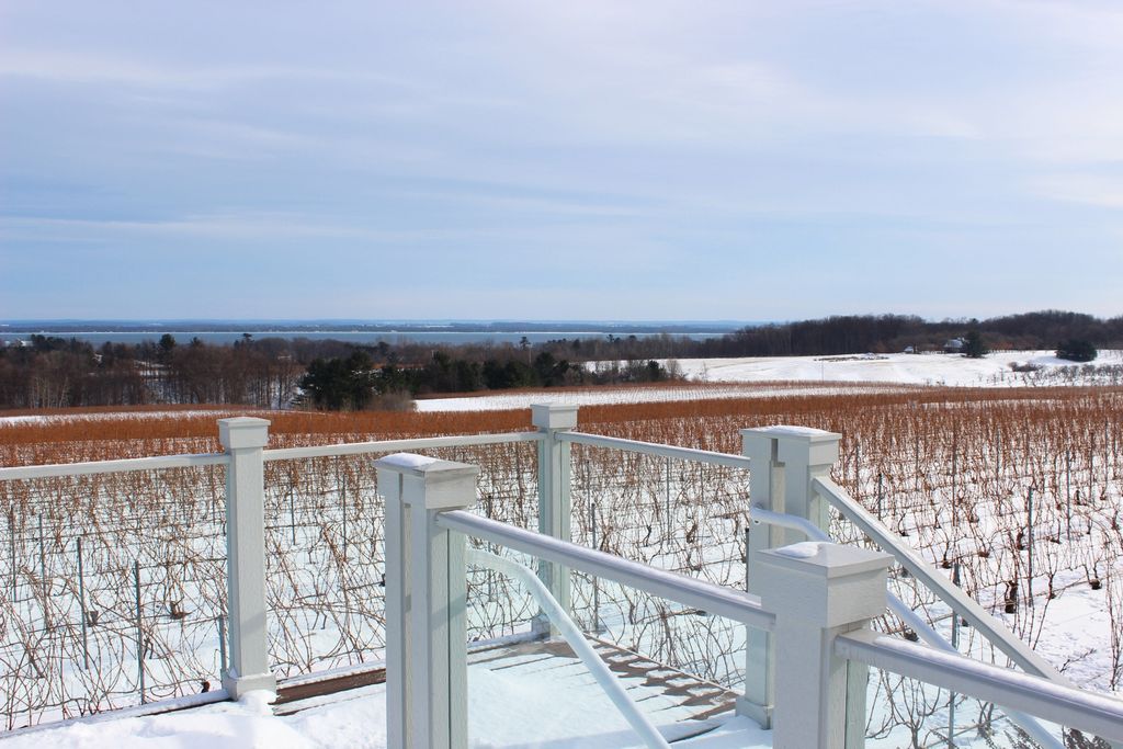 BrianKlymDDS's tweet image. RT@BrysEstate: No matter the season - you can't beat this view! #brysestate