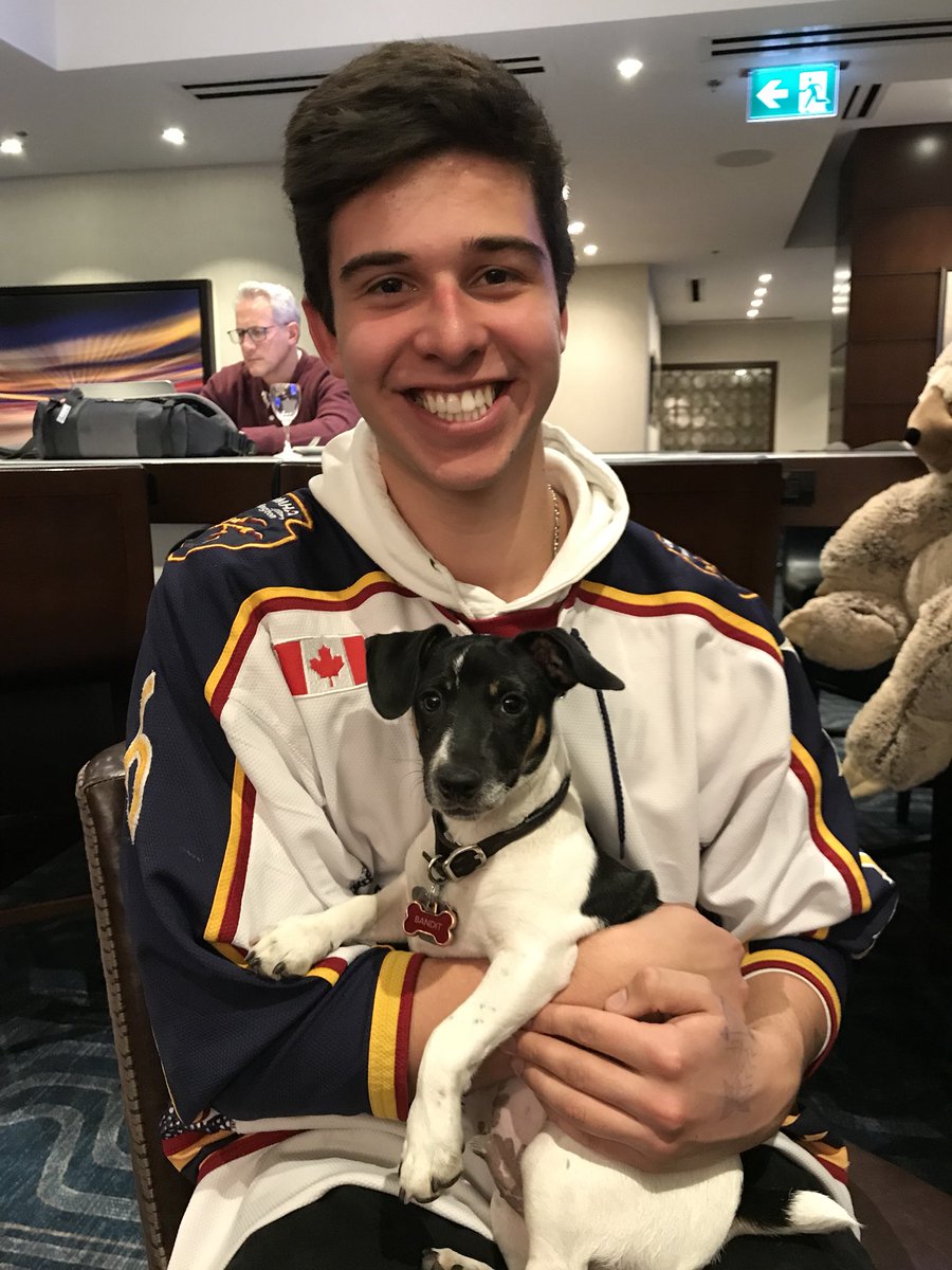 Bandit & Teddy tweet media