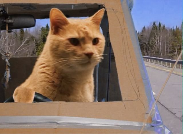 HoboSpaceship's tweet photo. hello there my friend https://t.co/tYWcSF0vz4
