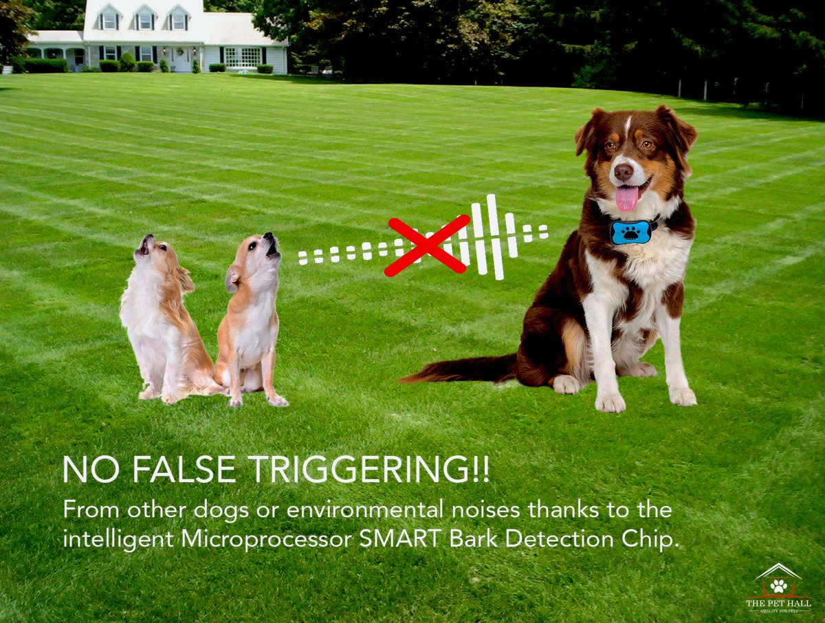 thepethall's tweet photo. Looking for a dog bark solution that works in your absence?
With our New Microprocessor SMART Chip our bark collar is only triggered by your dogs bark and nothing else!
Special pre launch price on Amazon for a limited time!
Order Now!
https://t.co/W6Xgt1xp9O
#dog #dogs #pet #pets https://t.co/g2yeIXSxlB