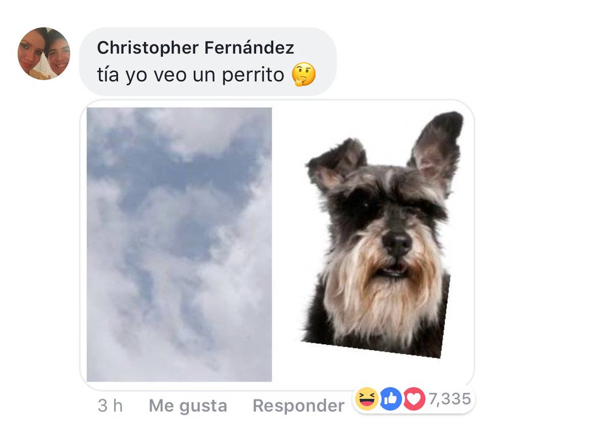 ElJeringasLoko's tweet photo. JAJAJAJAJAJA https://t.co/JebJPFSAja