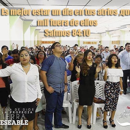 LibresAdorar's tweet photo. #libres #LPA #juventudTD #todossomostierradeseable https://t.co/X3dLp7OKDN