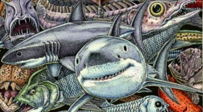 California State University, Monterey Bay to host white shark research panel (featuring Dr. Chris @CSULBsharklab Lowe) Tuesday, January 30 at <a href="/CSUMB/">Cal State Monterey Bay</a>'s World Theater. Event is free and open to public: newswise.com/articles/csumb…