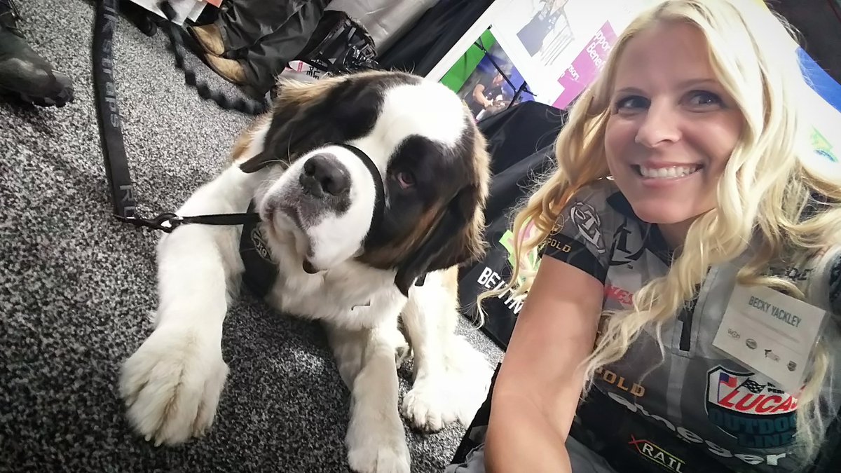 Yackley5ive's tweet photo. Day 2 of @shotshow is a wrap...Zoe from @freedomhunters I have tired feet. #tiredFeet #happyFeet #workinFeet #doWork #stbernard #dogsofinstagram #dogsOfShotShow #puppy #mydogshurt #soDoTheDogsDogs https://t.co/wlrcGhSU2r