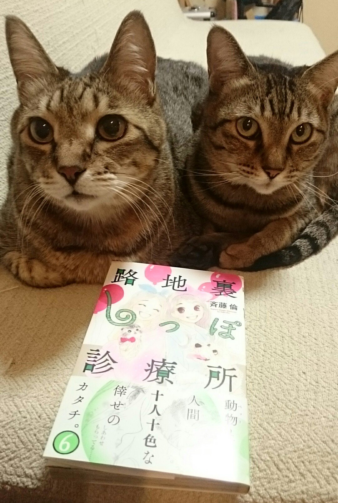 斉藤倫 あと お知らせするべきか迷うのですが 路地裏しっぽ診療所 は 巻で完結する予定です 本当はまだまだ描きたい事がたくさんあるので残念なのですが でもこの 巻の売れ行きが動けば 続編を描かせて頂ける可能性もあります 初動が肝心