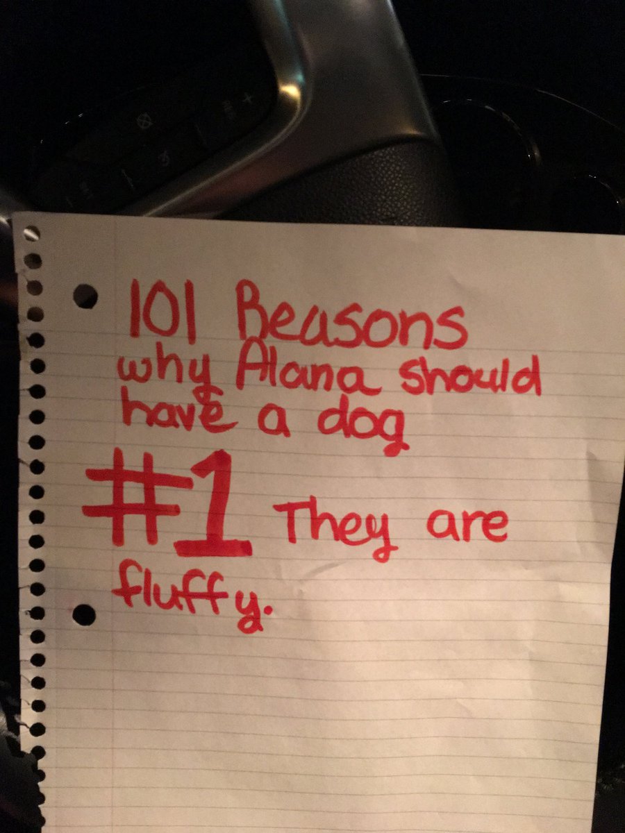 hansen_kip's tweet photo. This was taped on my steering wheel this morning. Think someone wants a dog? #PoopScooper https://t.co/0ElekSaeps