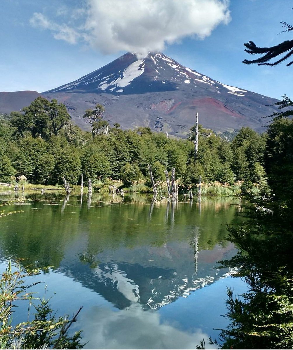 jop2k's tweet photo. Ojala le guste  @aluksicc #ChileLindo. Volcan Llaima, #parqueconguillio. https://t.co/Ab7pXwvEpf
