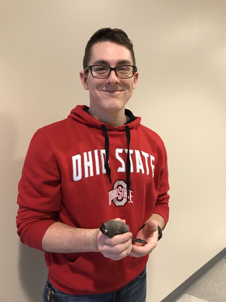 KSPrairieChick's tweet photo. Trained a student today to prepare study skins for @OhioStateLima Biology’s teaching collection and for his #undergraduateresearch project. It looks like he is pretty proud of his gray catbird! @EEOB_OSU #deadbirdsforscience https://t.co/IMci7zBIvO