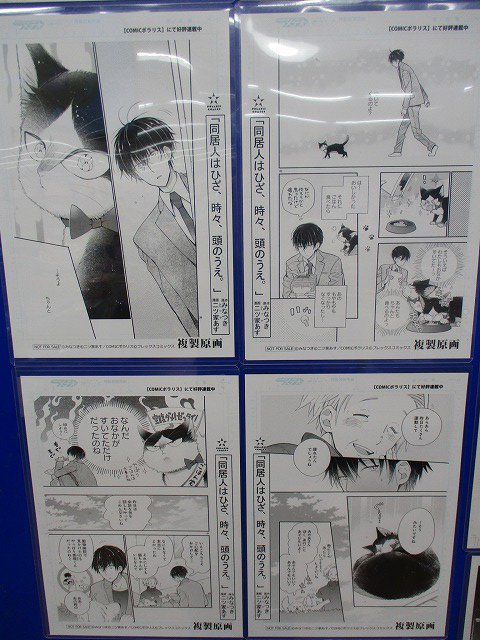 アニメイト池袋本店 新刊情報 同居人はひざ 時々 頭のうえ 4巻 限定版 通常版が好評発売中です 限定版には可愛いハルのぬいぐるみがついてきます 大人気商品ですので お買い求めはお早目に 3 アニメイト池袋本店 新刊情報 同居人はひざ 時々 頭のうえ 4巻 限定版 通常版が好評発売中です 限定版には可愛いハルのぬいぐるみがついてきます 大人気商品ですので お買い求めはお早目に 3