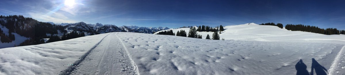 PGruendler's tweet photo. Guten Morgen heute wird es gut, das Frühstück 🍳 lächelt mir zu. Wünsche allen einen schönen ☀️ Tag. Wir gehen wieder Winterwandern mit der familiären @bernerhof Gruppe https://t.co/Q3jiU7X9D1