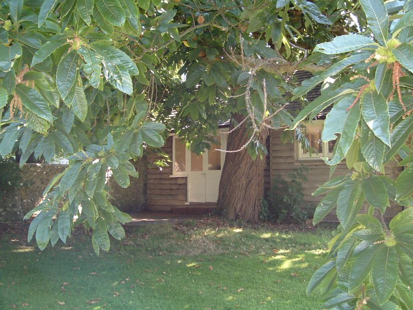 gail_crowther's tweet photo. #VirginiaWoolf born 25 January 1882. Here's her writing shed, apple trees, and garden at Monk's House, Rodmell
"My head is a hive of words that won't settle." https://t.co/ZeSlT2A4l0