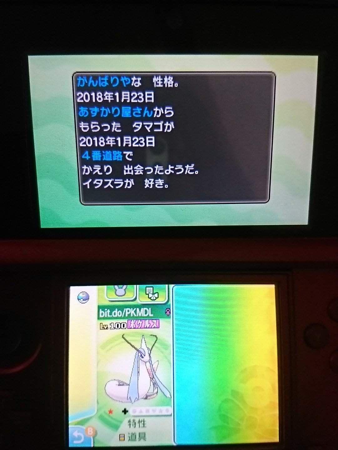 煎餅 またしてもミラクル交換で怪しいポケモンが送られてきた 6v色違いミロカロス 性格 がんばりや 特性 ふしぎのうろこ ポケルス有り100レベルのムーンボール 誰かジャッチしてください あと やけにポケモンの名前が長い ポケモンusum ミラクル交換
