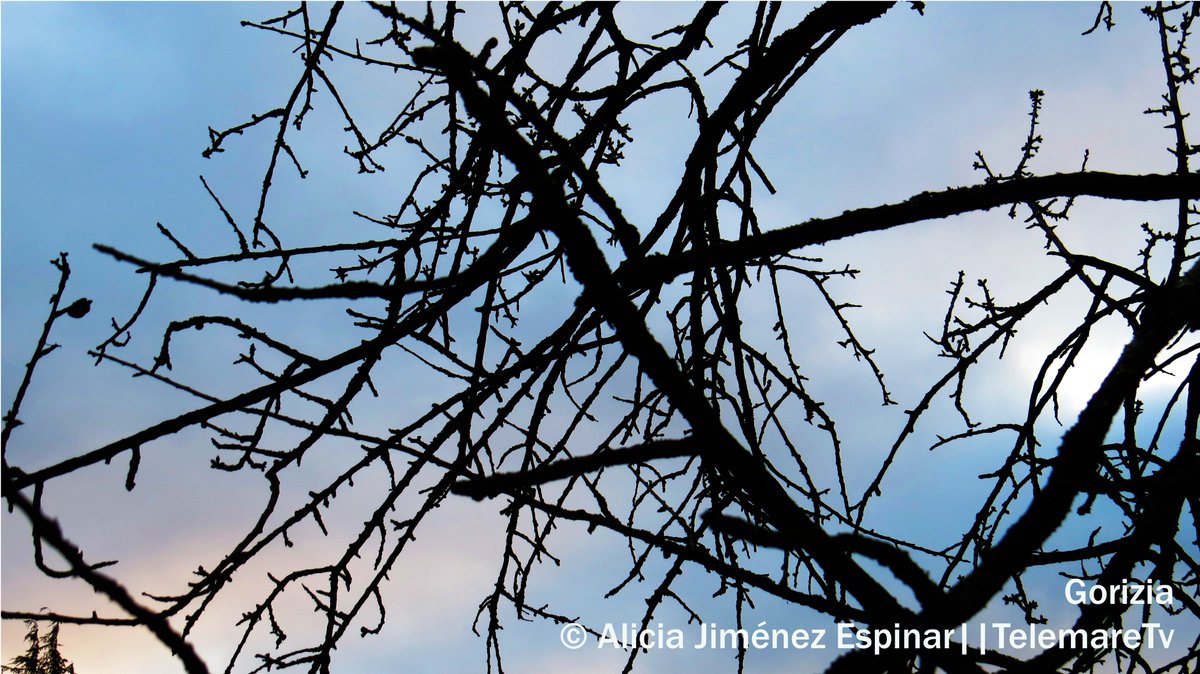 Meteo: Al mattino cielo variabile con foschie o nebbie in pianura. In giornata coperto. In serata pioviggini e cielo coperto.
Temp. in pianura, min. 0/4 max. 7/10. Sulla costa min. 5/8 max 8/11
#buongiorno #telemare #fvg #25gennaio #oggi #meteo #freddo #giornata #grigia #nebbie