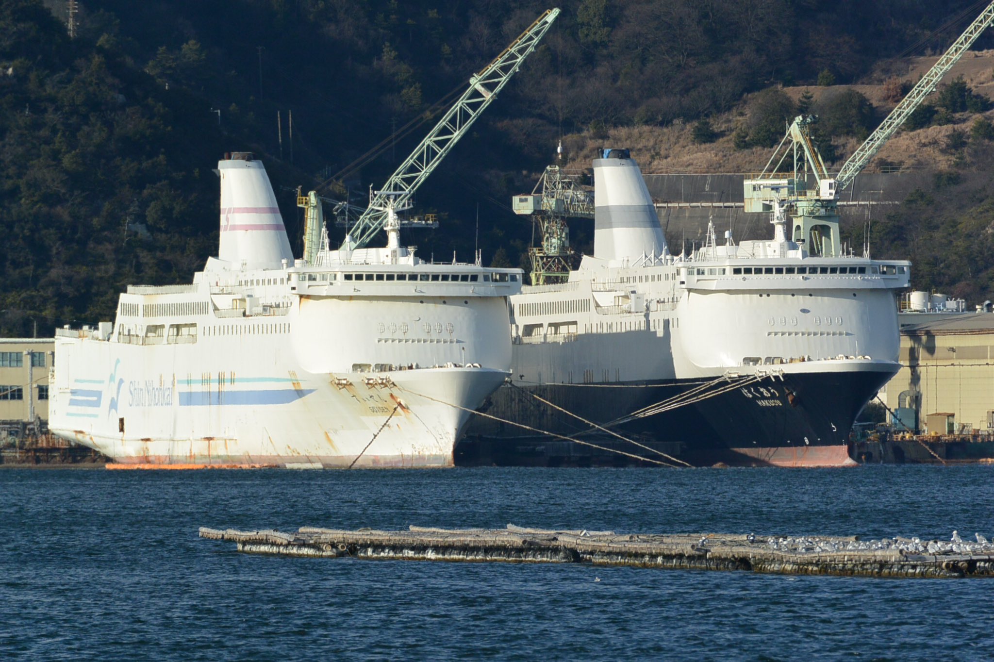あ ざ れ あ 引退した新日本海フェリー すずらん 現 はくおう と すいせん 相生を訪れたら絶対見たかった2隻です あ ざ れ あ 引退した新日本海フェリー すずらん 現 はくおう と すいせん 相生を訪れたら絶対見たかった2隻です