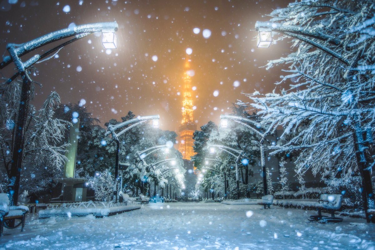 Takaphilography A Twitter 東京雪景色 幻想の夜 東京雪景色 大寒波 雪景色 東京の雪 細江貴寛 Hosoetakahiro ほそえたかひろ 絶景 夜景 東京タワー Tokyotower Nightphotography Nightview T Co Rzvdozhd