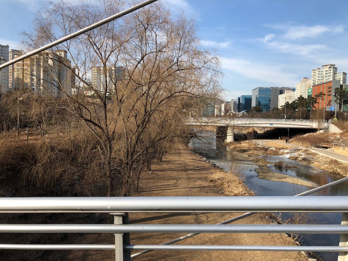 판교 지역 반려견놀이터 만들 곳 찾으러 나왔는데..엄청 춥네요 
여기는 사람이 통행하지 않는 곳이라 아래 위쪽을 망으로 막기만 하면 될 듯..어때요?