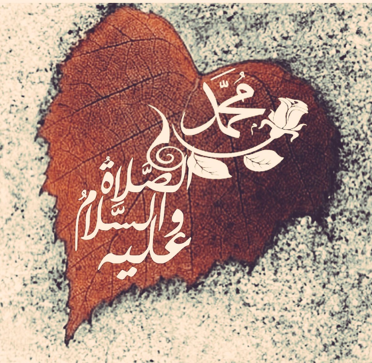 qxxbs's tweet photo. ___Siz.!!
#CeheNNemi
___İğNe >deLiğiNdeN
____GöRseYdiNiz,
__BaşıNızı
#SecdedeN
___kaLdıRmazdıNız..✍🏻
#HzMuhammed ( s.a.v ) https://t.co/fzHKq4CPVh