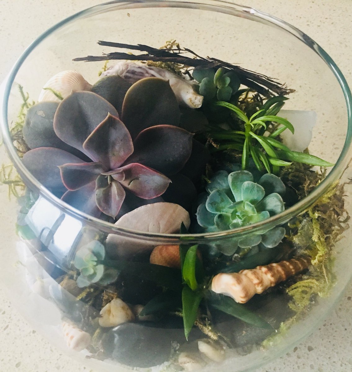brandyraerae's tweet photo. #TeamBuilding with the #PedsMedEdTeam at @faBLOOMosity - so pleased with my #Terrarium. #SeaGlass #GiftForMom #FunTimesAtWork #Succulents #BestWednesday @UAlberta_FoMD https://t.co/k3Wi5CCuyB