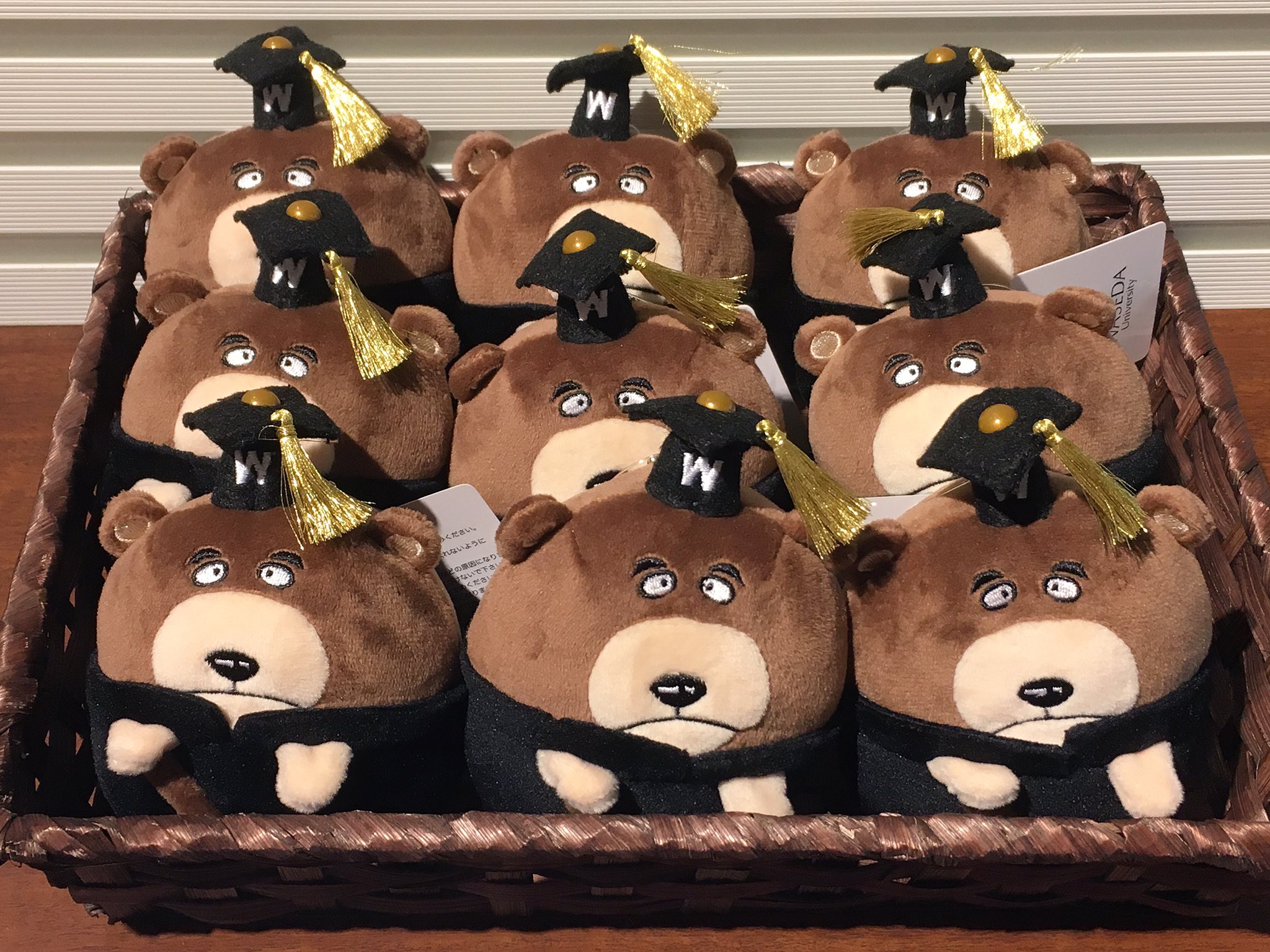 ✨特大サイズ・タグ付き✨ 早稲田ベア WASEDA BEAR. 自立【配送料込】 ✨特大サイズ・タグ付き✨ 早稲田ベア WASEDA BEAR. 自立【配