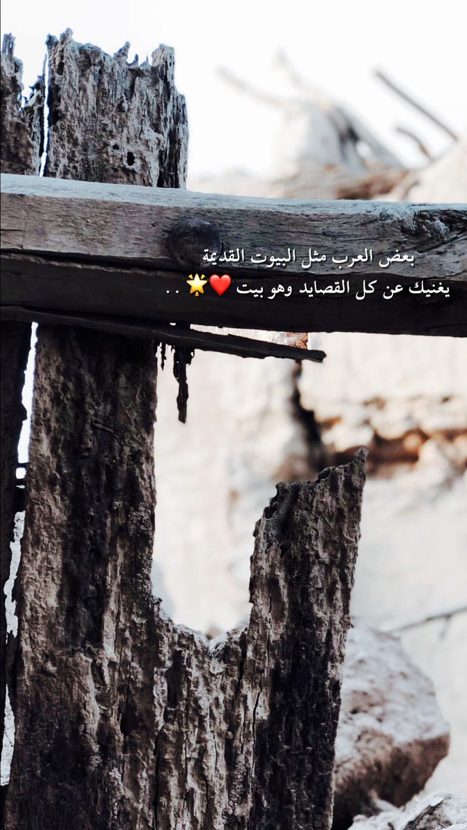 alreef 🕊 tweet media