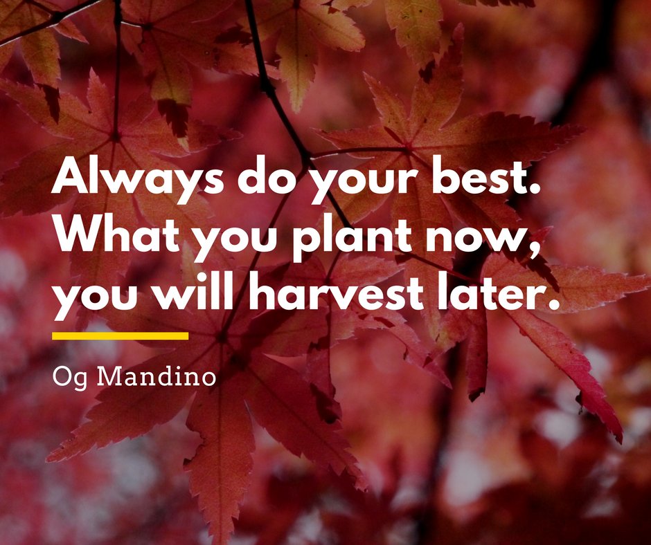 Technobari's tweet photo. Always do your best. What you plant now, you will harvest later.
- Og Mandino
#quotes #ThursdayThoughts https://t.co/PgqRHC4FQR