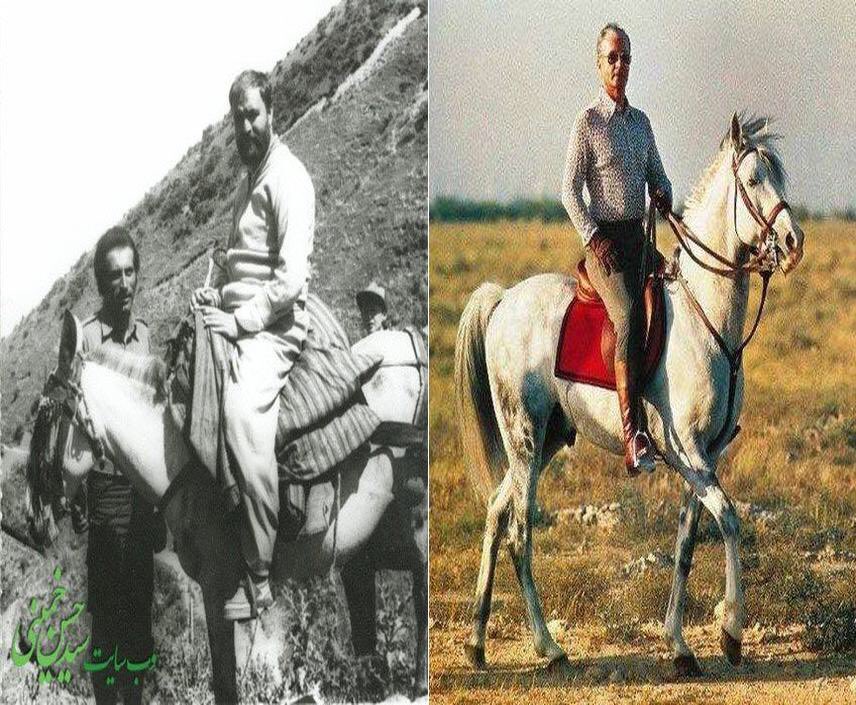 NavidNaghavi's tweet photo. یکی از ارزشمندترین پاسپورت‌های جهان رو دادیم جاش پاسپورتی گرفتیم که خجالت می‌کشیم جایی نشونش بدیم. #چی_دادیم_چی_گرفتیم https://t.co/YYKteXEeTo