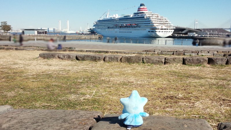threef3f's tweet photo. 今日は横浜港の大さん橋に #飛鳥Ⅱがとまっている情報をゲットして、見に行ってきた #きらきら 。後ろ姿も嬉しそう♪ #まるまるこころきらきら https://t.co/L2yIz5TStT