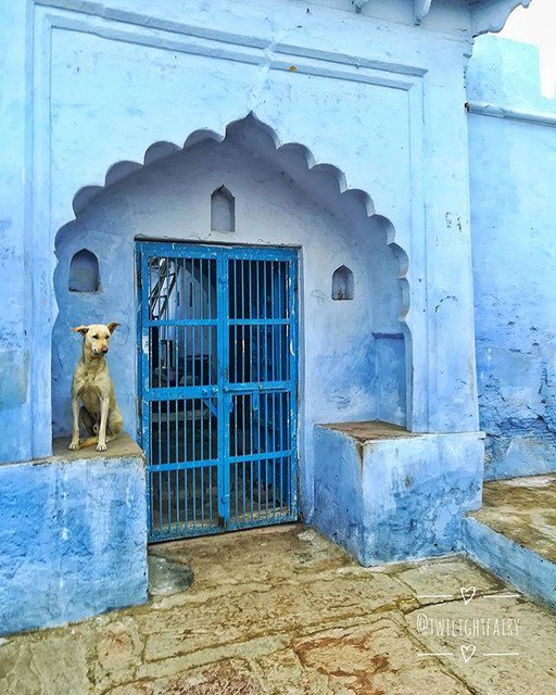 Reposting <a href="/twilightfairy/">Priyanka Sachar</a>:
Lord Krishna is said to have been born on the site of Sri Krishna Janma Bhoomi, in Mathura where Dotting the