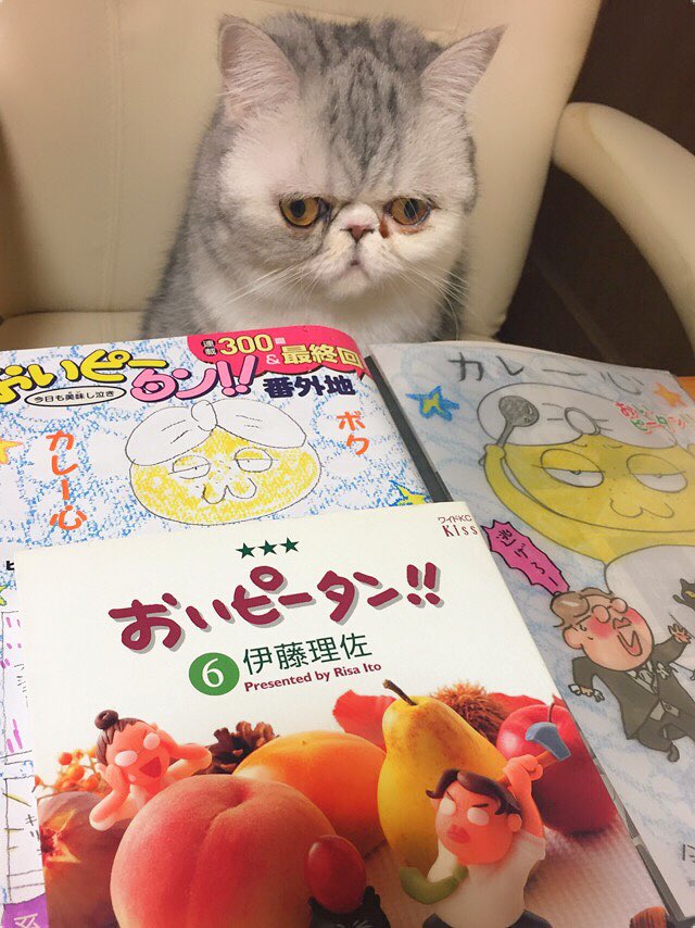 ひちゃぐみ Itorisaouendan Kiss Kodansha カレー心ちゃんは おいピータン 6巻に収録されている名作中の名作 伊藤理佐 T Co 14u6eriig7 Twitter