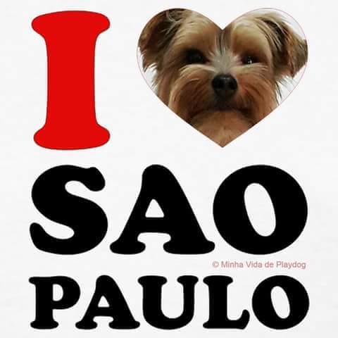 Bom dia S. P. !!! Parabéns pelos 464 anos !!!!🤗🤗🤗