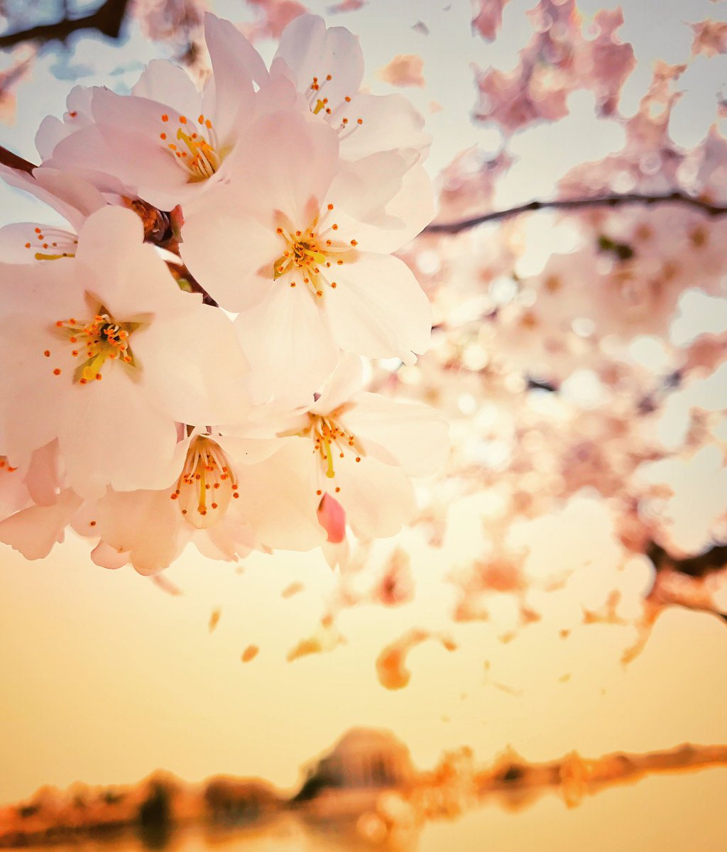 RamenKimono's tweet image. "Don't wait until it's too late to tell someone how much you love and how much you care about them, Because when they're gone, no matter how loud you shout and cry, they won't hear you anymore." - Unknown