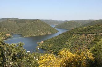 Extremadura destino de turismo cinegetico por excelencia, ven a disfrutar de esta actividad en la mejor región. #caza #tuciex #campo #turismocinegetico