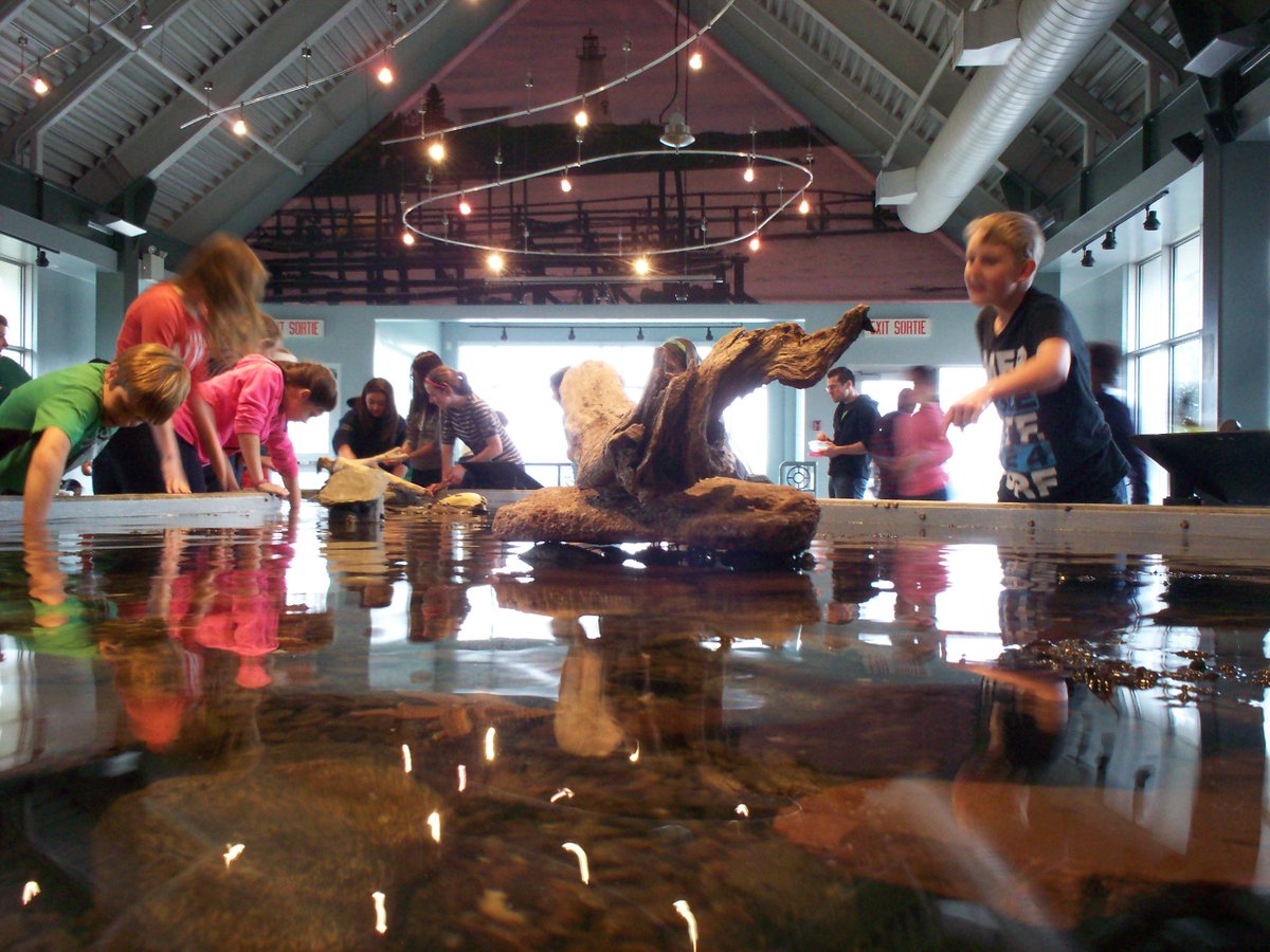HuntsmanMarine's tweet photo. Visiting the @AlgonquinResort during March Break? Don't forget the @FundyAquarium is open March 3-11 by donation! Plus afternoon camps for kids Mon-Fri, March 5-9. https://t.co/SmBbdE0l8W https://t.co/Afn925FFlK