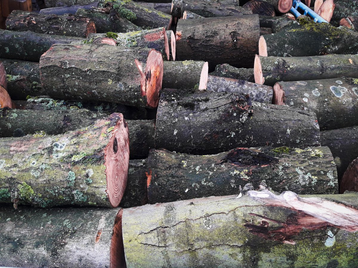 Zaterdag 10 februari organiseert Staatsbosbeheer Hof van Delfland in samenwerking met <a href="/HoeveBiesland/">Hoeve Biesland</a> een #Haardhoutdag met #houthakkersfeest! We verkopen hout afkomstig uit het Bieslandse bos.
Meer weten? Check: staatsbosbeheer.nl/Activiteiten/b… of hoevebiesland.nl/haardhoutdag/