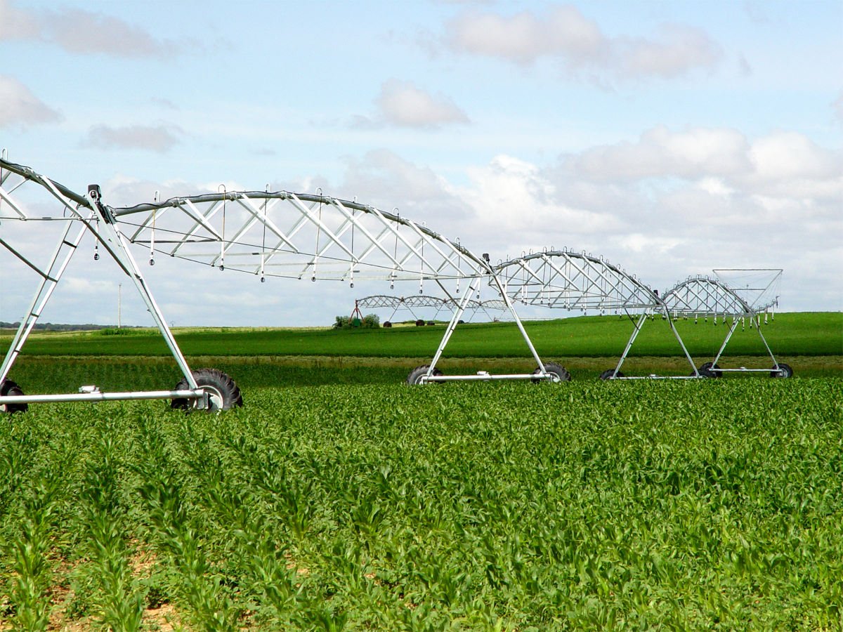 VRural's tweet photo. 🗓 19-21 FEB 2018 🗓 #Agricultura de Precisión 🛰🚜 #Regadíos 💧 #Fertilización y Protección Vegetal 🌱🌿 Los 3 grandes temas que abordará el VI Foro Nacional de Desarrollo Rural ▶ #AgroProfesionales

➡ https://t.co/OZXGz71rVe || @RuralDesarrollo @fima_agricola @Coiaanpv https://t.co/2ko5Et2G3x