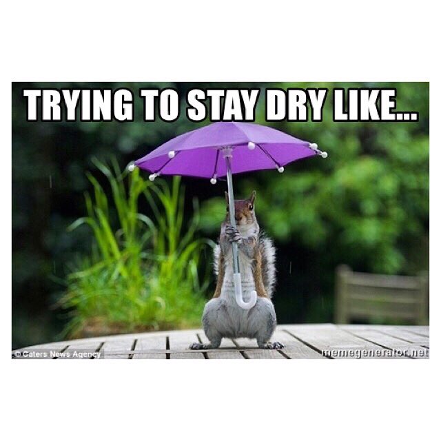 Anyone else get the feeling this #dryjanuary is never gonna end?? 😩🍷🍻🥂🍹😂 Roll on February!!