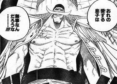 白ひげ海賊団隊長のその後を考察 今現在は何をしてるの テレビっ子は今日もゆく