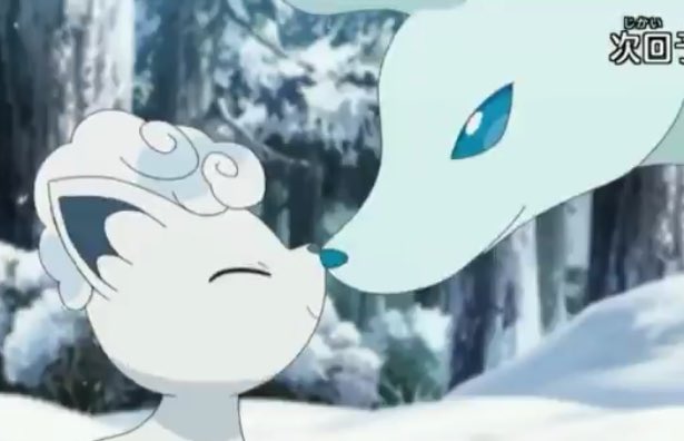にかいち アローラロコンとアローラキュウコンの鼻キスいいぞ Anipoke にかいち アローラロコンとアローラキュウコンの鼻キスいいぞ Anipoke