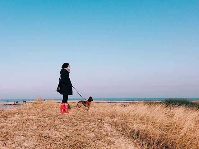 ❤️❤️ #colorful #landscape #beach #people #dog #sea #nature #urban #laboe #iphone7 #iphoneography ift.tt/2DzLWKa