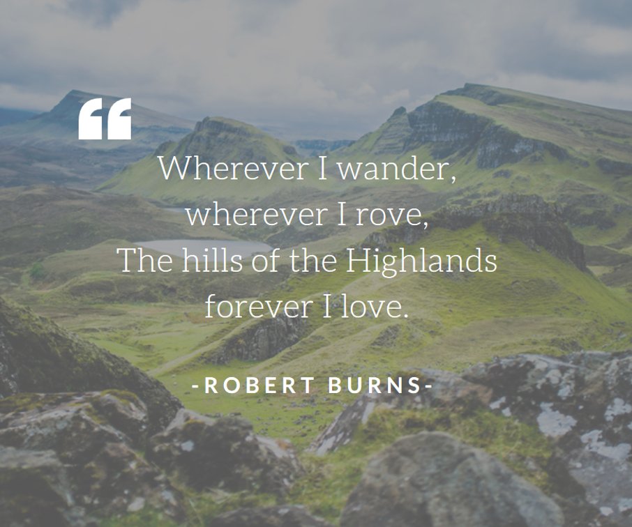 Friday Favorites Wander