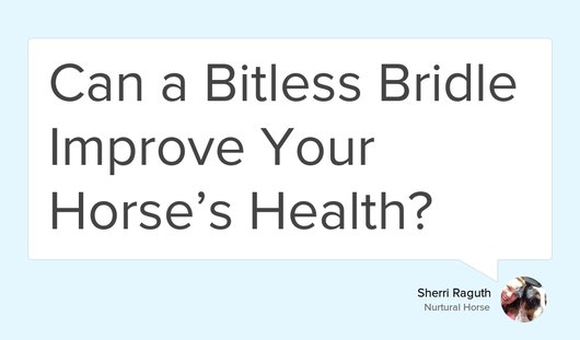 CircleXnurturaL's tweet photo. "Can a bridle improve your horse’s health?" https://t.co/WZhq9SfR6V #NurturalBitlessBridles #ReleaseIsReward #TrainYourselfFirst https://t.co/htxu66TZow