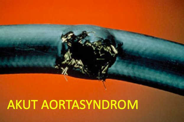 cphcc2021's tweet image. Kom og hør @morten_smerup på Copenhagen Critical Care Symposium 

cphcc.dk

#cphcc2018 #cphcc